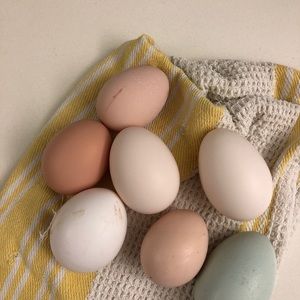 Meet your Posher, Kimberly